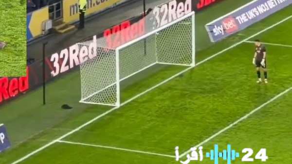 سنجاب يتسلل إلى مباراة هال سيتي وبريستول ويثير تفاعل الجماهير بأفعاله الطريفة