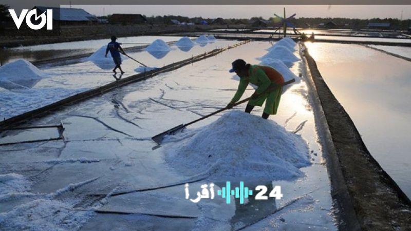 ارتفاع أسعار الملح الإندونيسي نتيجة التحديات اللوجستية