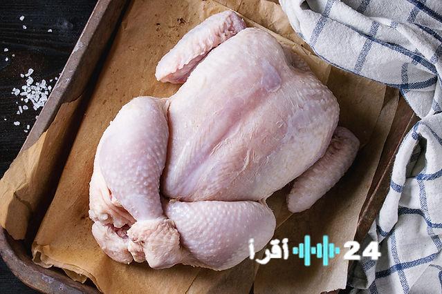 «تراجع أسعار الفراخ الحمراء.. آخر تحديث لأسعار الدواجن والبيض في البورصة المصرية والأسواق اليوم الأحد 22 فبراير 2026»