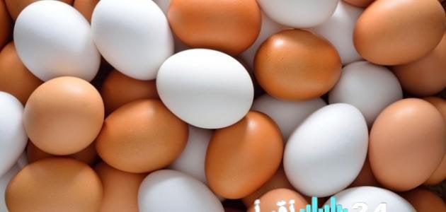 سعر كرتونة البيض اليوم الجمعة 6 فبراير 2026 في السوق المحلي