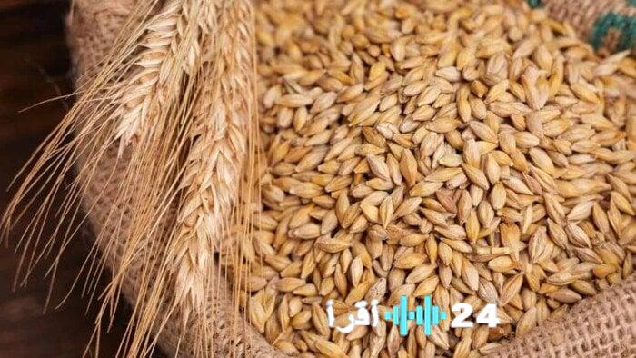 «توجهات أسعار الأرز الشعير اليوم السبت 21 فبراير 2026 – أحدث المستجدات الاقتصادية»