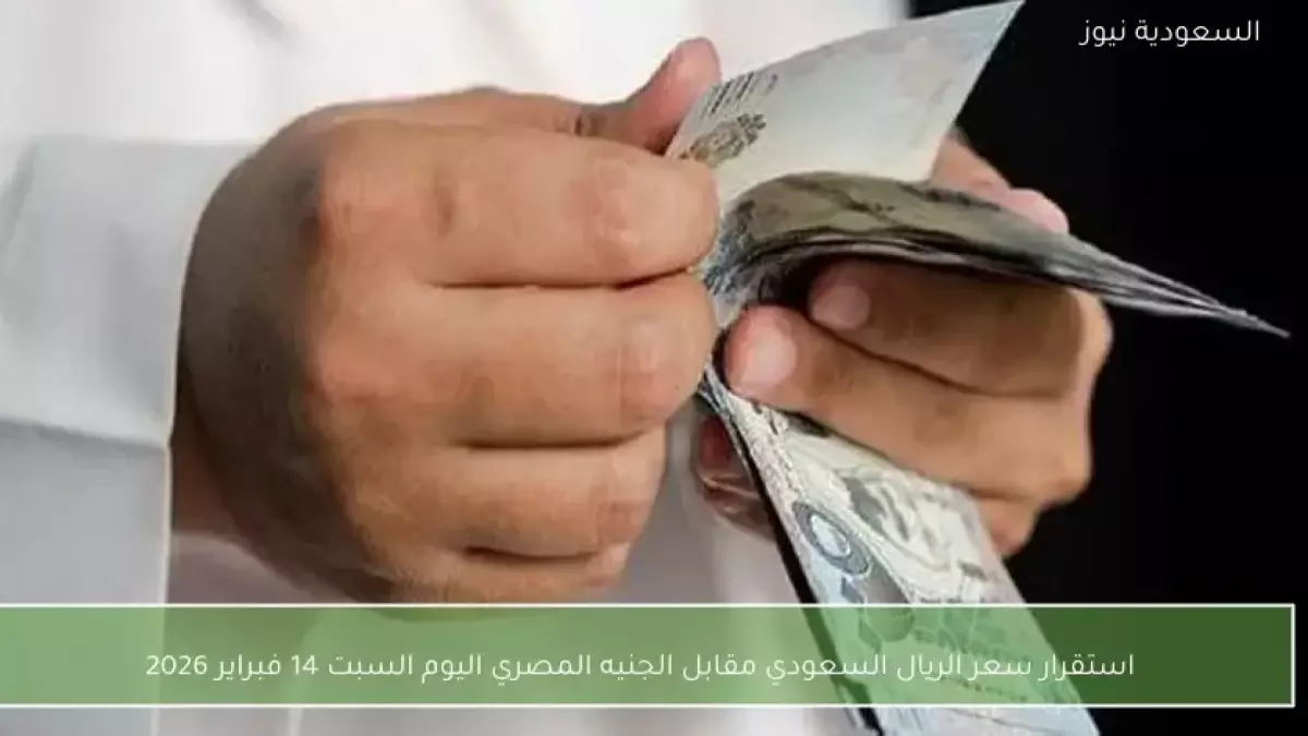 «انهيار تاريخي للريال السعودي في البنوك المصرية مع فارق يصل إلى 255 قرشاً»