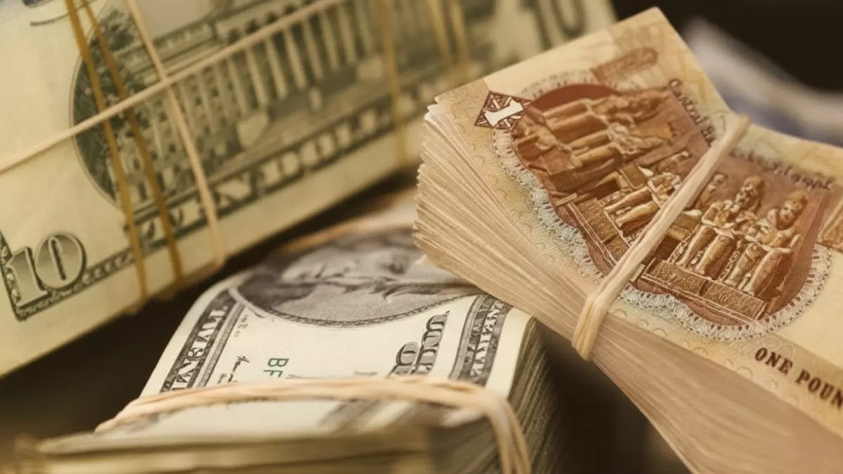 «مؤشرات اقتصادية مفاجئة» الدولار يهوي 48 قرشًا دفعة واحدة في البنوك المصرية ومستقبل الأسعار على المحك