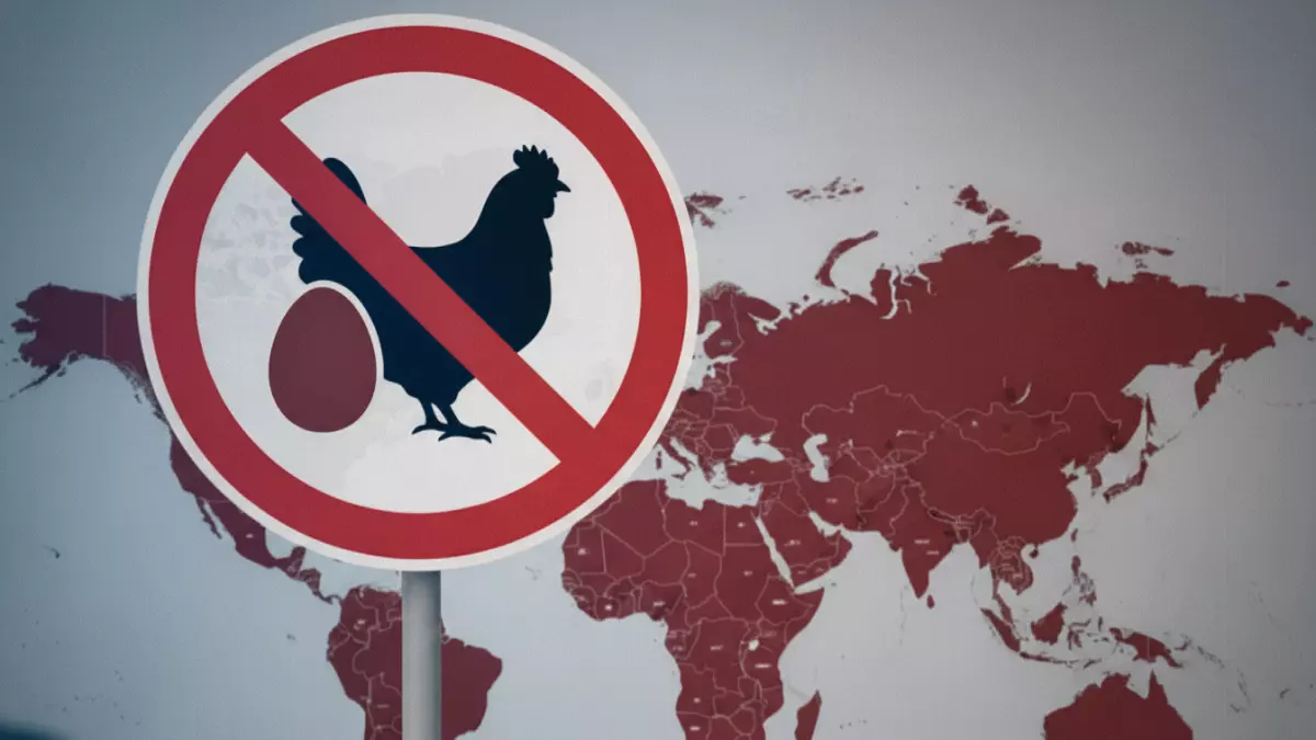 قرار سعودي جديد يمنع دخول البيض والدواجن من 56 دولة في تحذير من هيئة الغذاء حول خطر يهدد الصحة العامة