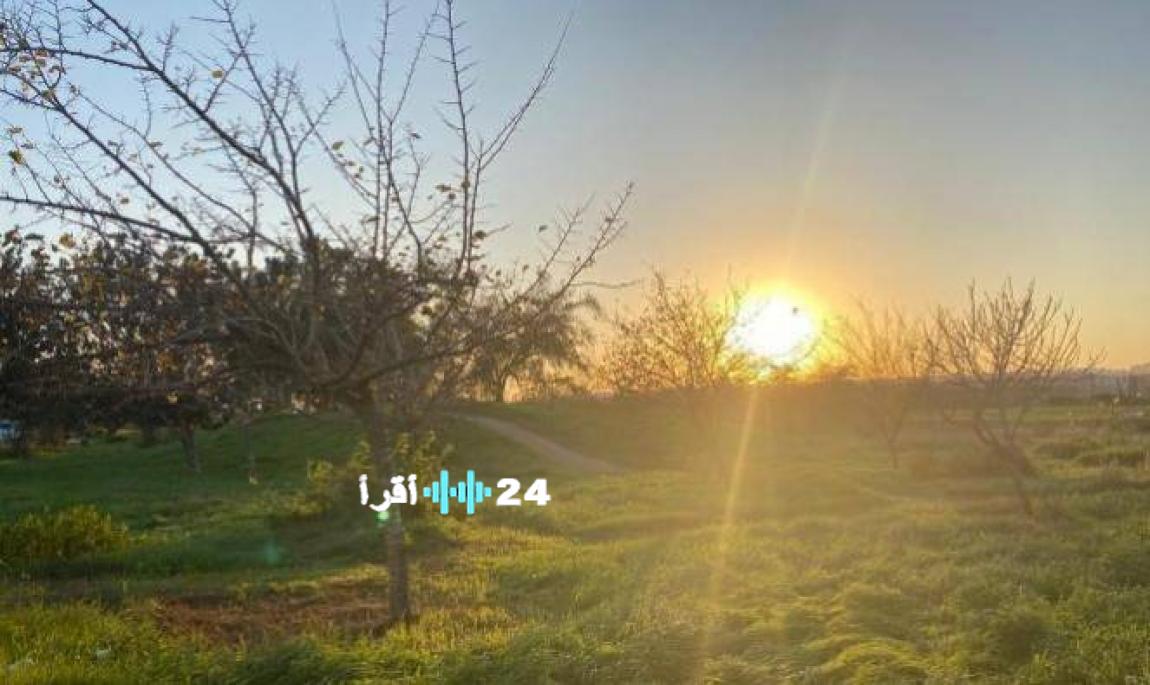 أجواء دافئة ودرجات حرارة تفوق المعدلات الطبيعية في جميع المناطق شرقًا وغربًا