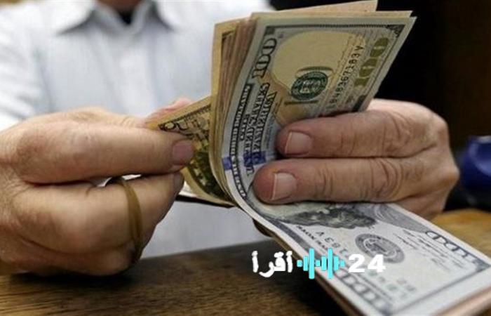 الدولار في مصر اليوم الثلاثاء 3 فبراير 2026 آخر المستجدات