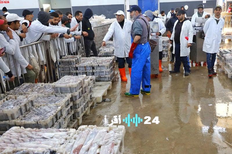 السردين سمك الفقراء في رمضان بين الأسعار المرتفعة وأزمة السوق