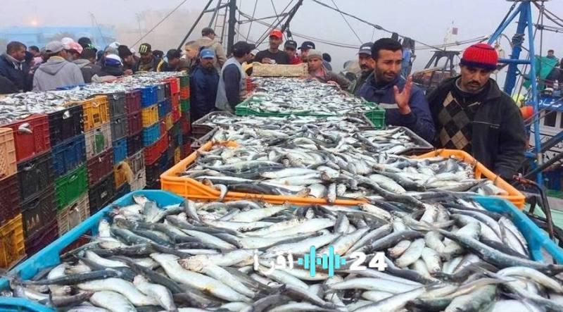 ارتفاع غير مسبوق في أسعار السردين وحزب البيجيدي يدعو الحكومة لاتخاذ خطوات عاجلة