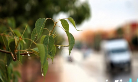 توقعات الطقس للعشرة أيام الأولى من شهر رمضان المبارك