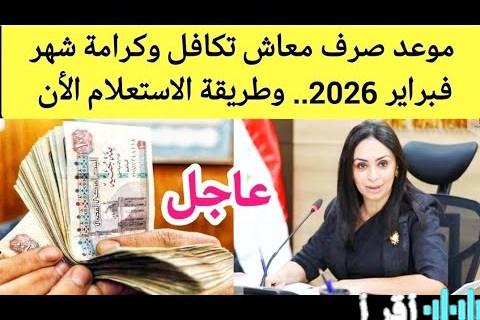 كيفية الاستعلام عن حالة بطاقة تكافل وكرامة قبل صرف مساعدات فبراير 2026 دليل كامل