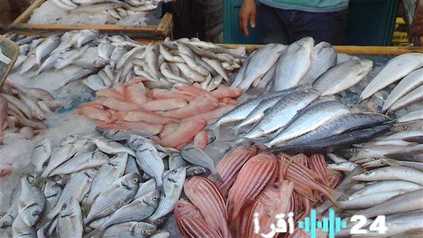 هدوء نسبي في سوق الأسماك المملحة بالغربية مع تراجع الطلب في شهر رمضان