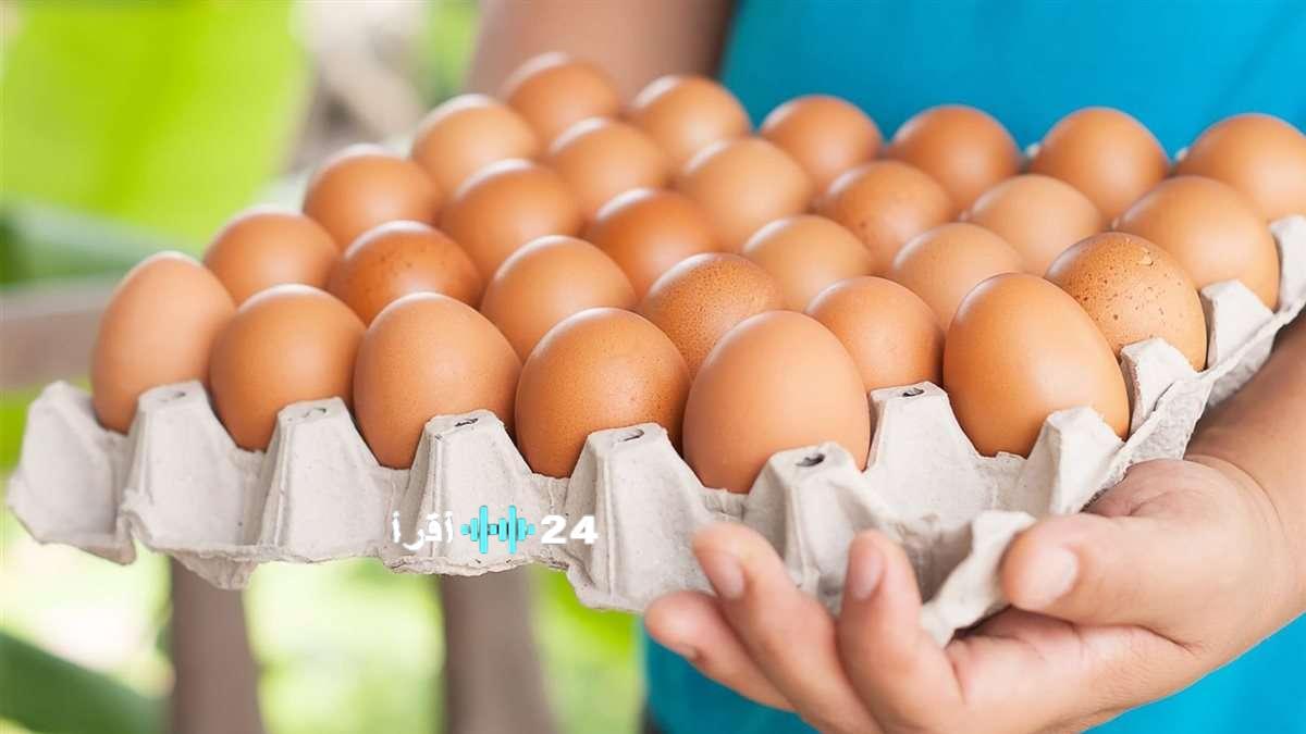 أسعار البيض في السوق اليوم الاثنين 9 فبراير 2026