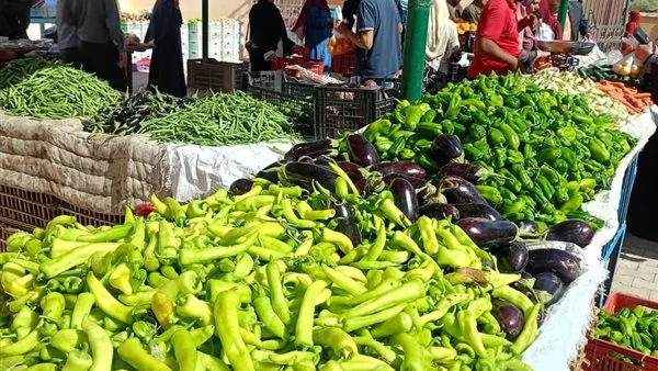 أسعار الخضروات والفاكهة في أسواق الوادي الجديد اليوم الجمعة