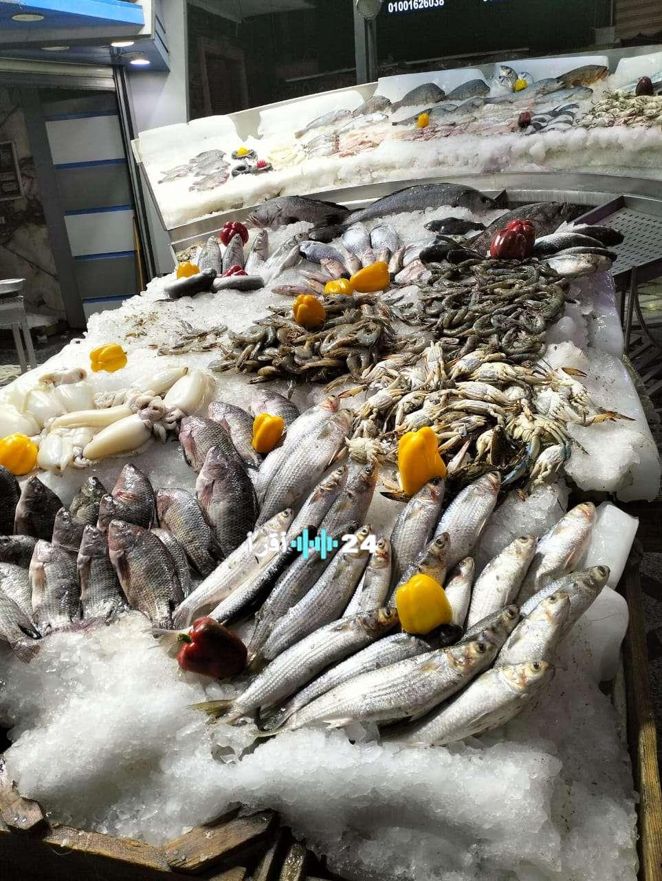 انخفاض وارتفاع أسعار السمك في الأسواق اليوم السبت 7 فبراير 2026