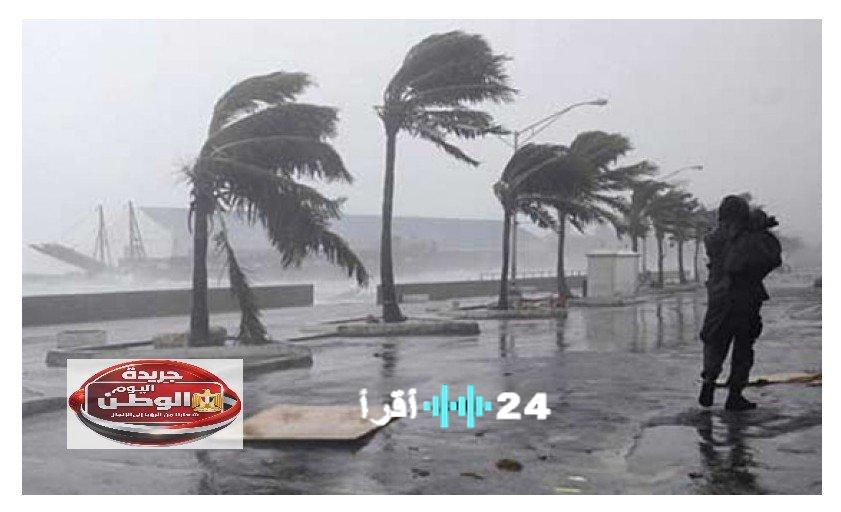 توقعات الطقس ليوم الثلاثاء 24 فبراير تشمل أمطار رعدية وشبورة كثيفة ورياح مثيرة للأتربة