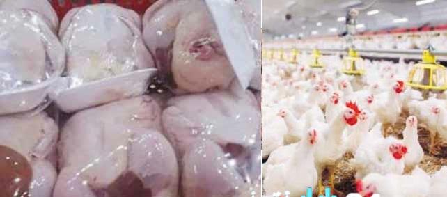 استراتيجية السيادة اليمنية لتعزيز سلاسل القيمة وتقليص الاعتماد على الاستيراد والوصول للاكتفاء الذاتي