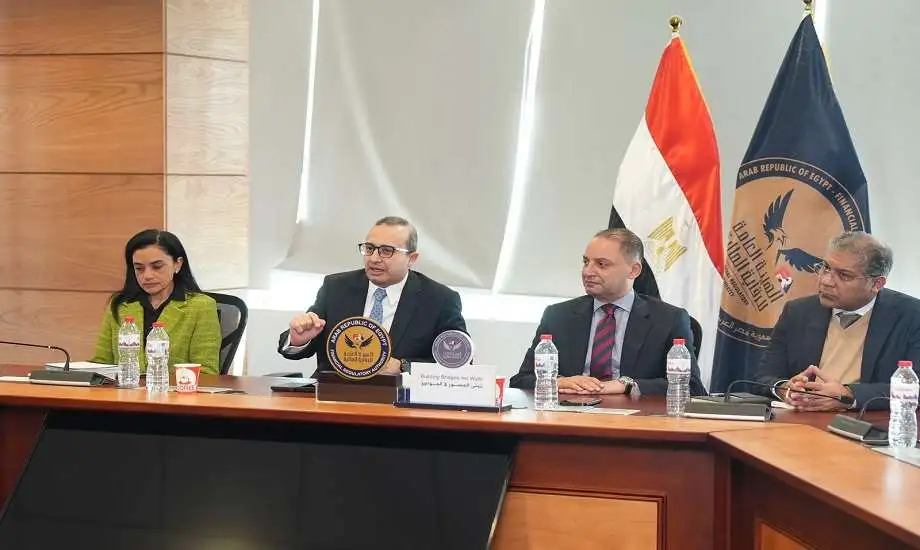 «تحقيق الشمول المالي: الرقابة المالية والبنك المركزي يتحدان لدعم تمويل المشروعات الصغيرة»