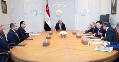 السيسي يبحث آفاق التوسع في الطاقة المتجددة مع شركة GCL الصينية