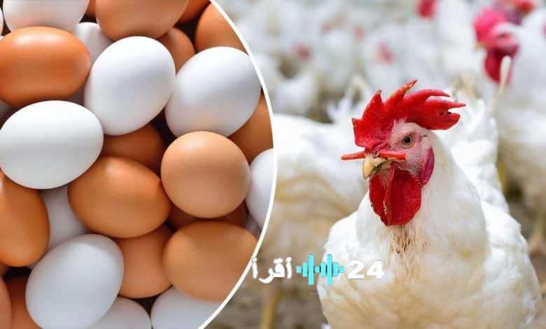 أسعار الفراخ والبيض تواصل التغير قبل رمضان في 18 فبراير 2026