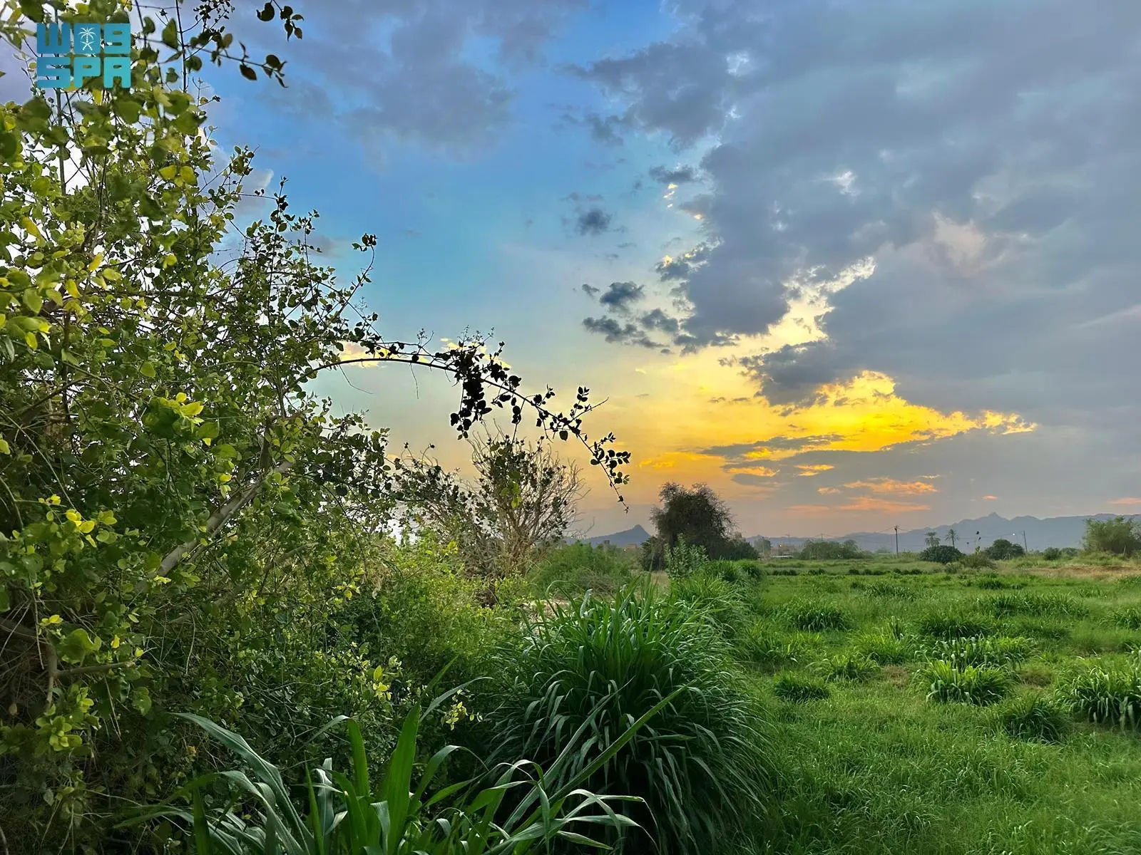 اليوم: صراع الفصول.. حيث يحل موسم العقارب مع انطلاقة الربيع الواقعي