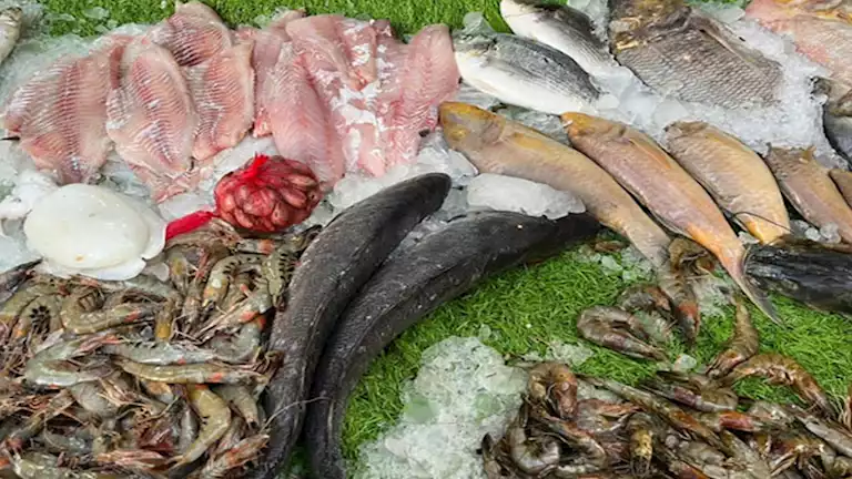 انخفاض أسعار البلطي في سوق العبور للأسماك اليوم 15 فبراير 2026