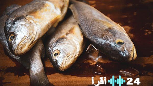 تحركات مفاجئة في أسعار السمك بأسواق الجمعة 27 فبراير