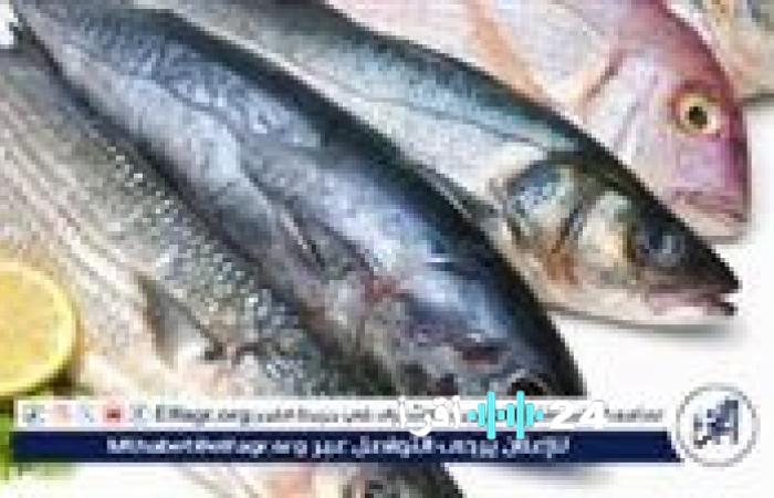 أسعار السمك والبلطي تشهد تغيرات جديدة في أسواق المنيا خلال تعاملات يوم الجمعة
