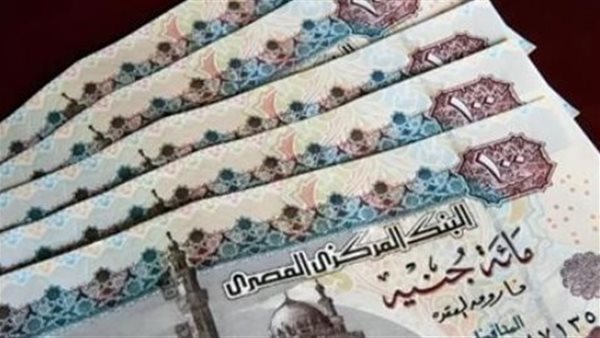 «عاجل ومهم» المالية تكشف عن الموعد النهائي لصرف رواتب فبراير 2026 لموظفي الدولة