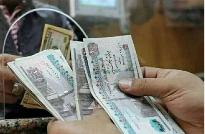 وزارة المالية تحدد الموعد النهائي وتفاصيل صرف مرتبات فبراير 2026