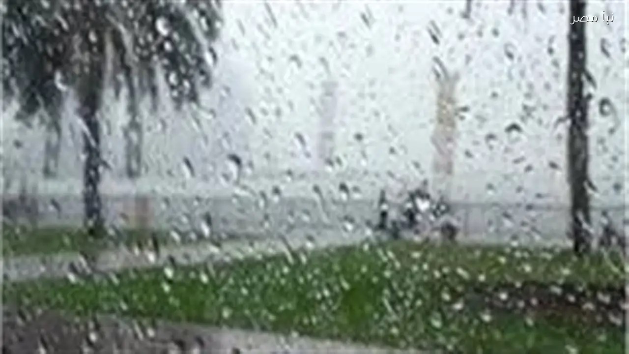 الأرصاد الجوية تكشف عن تفاصيل حالة الطقس في مصر وأماكن هطول الأمطار اليوم الثالث من فبراير 2026