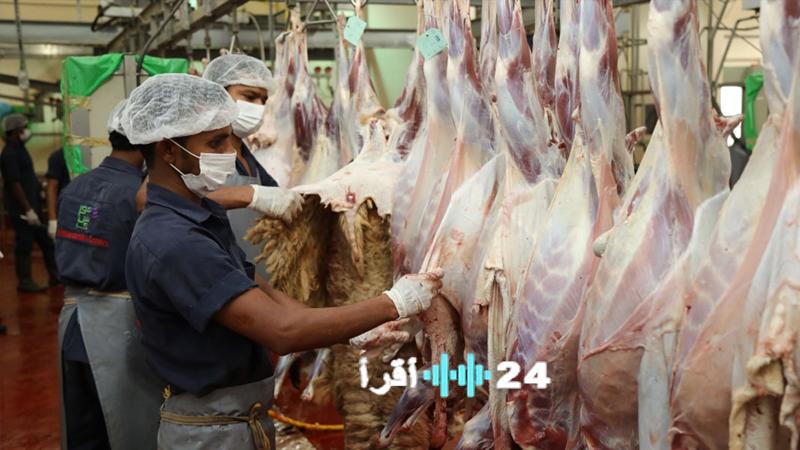 جازان: حملات رقابية مشددة على أسواق النفع العام والمسالخ لضمان سلامة المستهلك وجودة المنتجات