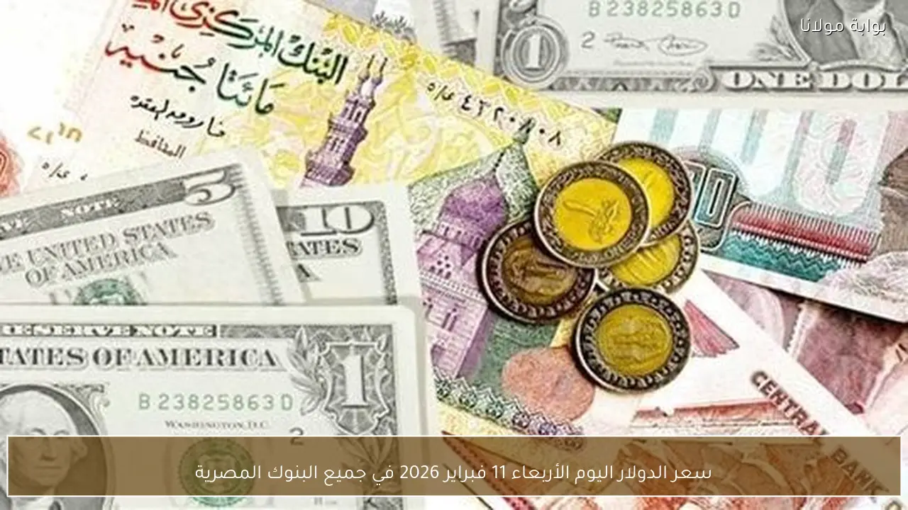 سعر الدولار اليوم الأربعاء 11 فبراير 2026 في كافة البنوك المصرية