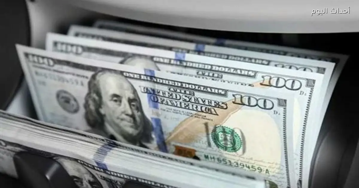 «استقرار سعر الدولار أمام الجنيه المصري في 8 فبراير 2026»