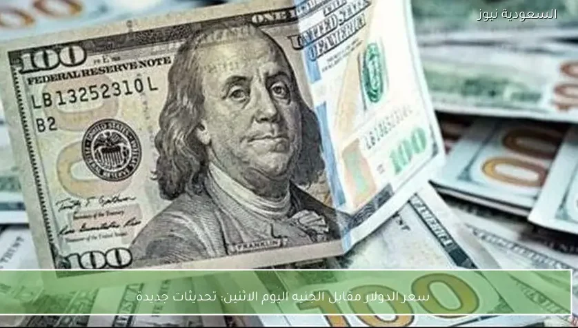 «تحديثات أسعار الدولار مقابل الجنيه المصري اليوم الاثنين»