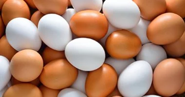 تراجع سعر طبق البيض في أسواق القليوبية خلال تعاملات 15 فبراير