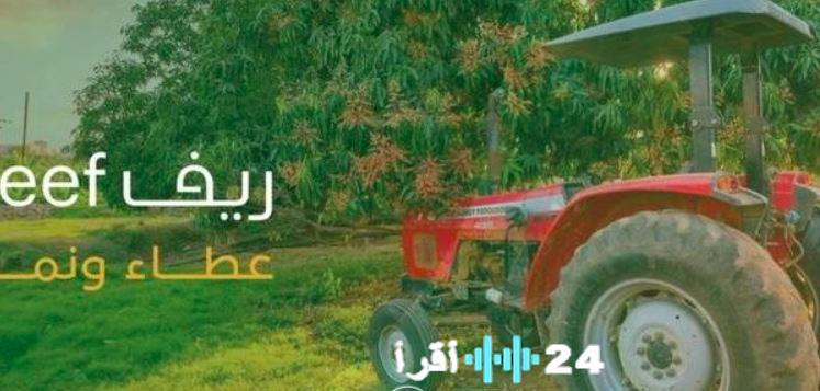 <p><strong>برنامج ريف يثير تساؤلات: هل تعارض شروط الدعم التسجيل في التأمينات؟</strong></p>