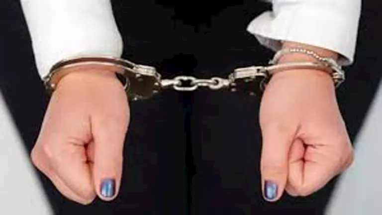 ضبط سيدة بالإسكندرية بتهمة التحريض على الفسق عبر تطبيقات المحمول