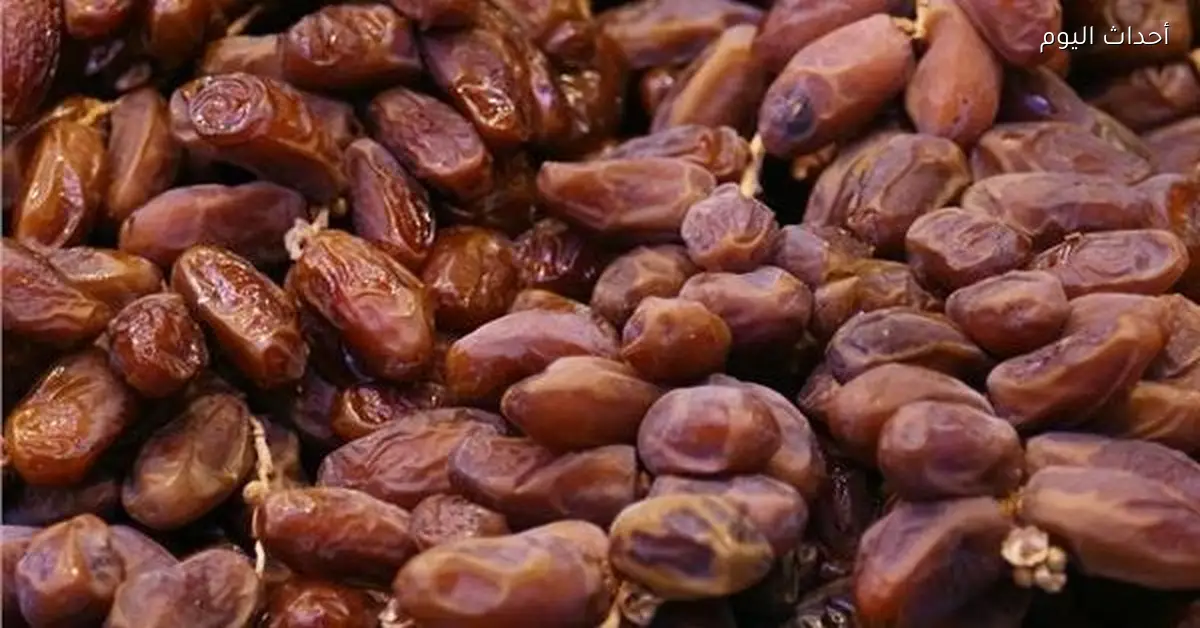 «عراق يبتكر شتلات نخيل مقاومة للجفاف لتعزيز الزراعة المستدامة»