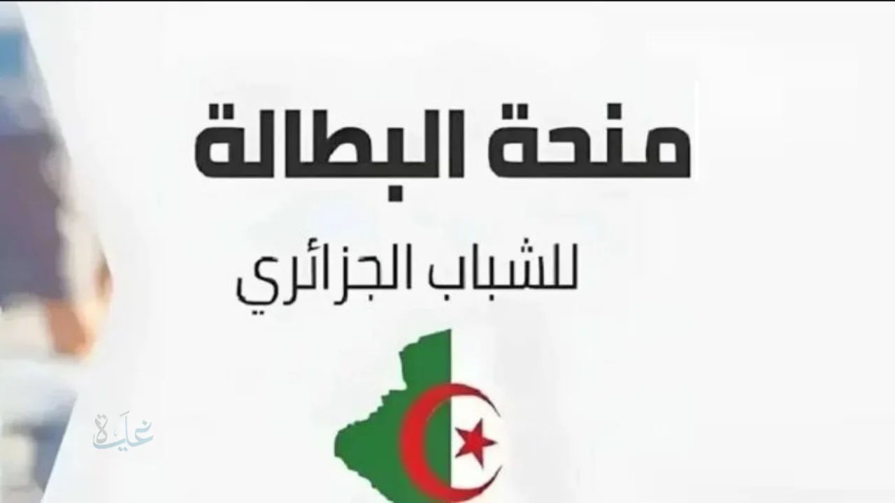 «فرصة ذهبية لدعم البطالة» التسجيل للحصول على مساعدات شهرية عبر الوكالة الوطنية للتشغيل في الجزائر