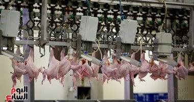 تغيرات بارزة في أسعار الدواجن واللحوم والأسماك في أسواق سوهاج اليوم