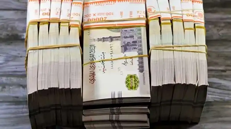 «زيادة الحد الأقصى لمبالغ التأمين المتناهي الصغر إلى 390 ألف جنيه»