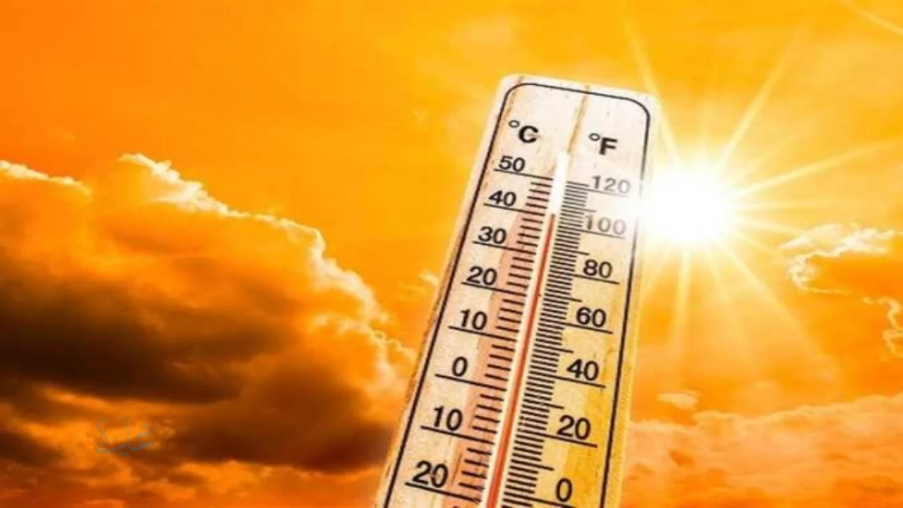 موجة حرارة تعمق أجواء فبراير في مصر وتتيح ارتداء الملابس الصيفية خلال النهار