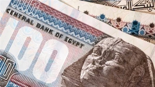 المالية تعلن اكتمال جاهزية المنظومة الإلكترونية لصرف مرتبات فبراير خلال أيام