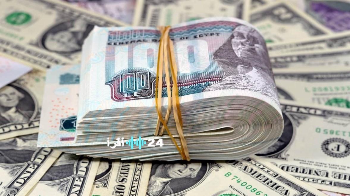 سعر الدولار في مصر اليوم السبت 14 مارس 2026 يتصدر اهتمام السوق المالي