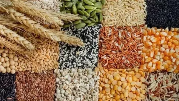 أسعار الحبوب ومكونات الأعلاف في الغربية بتاريخ 2 مارس 2026