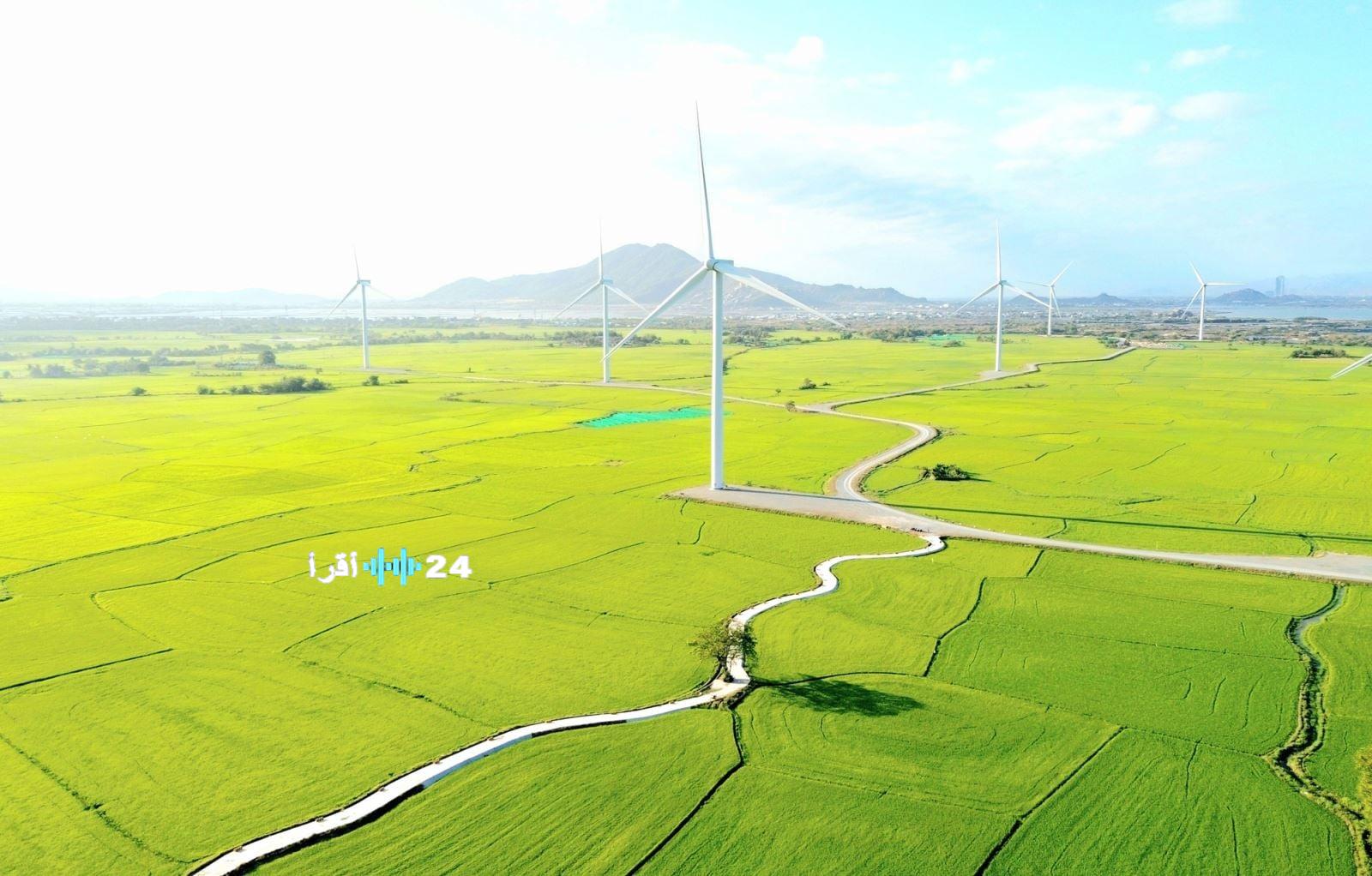 «خطوة نحو المستقبل» الانتقال إلى الطاقة النظيفة والمتجددة لتحقيق الاكتفاء الذاتي