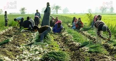 دليل الفلاح في برمهات كيف تترجم الأمثال الشعبية حالة الطقس