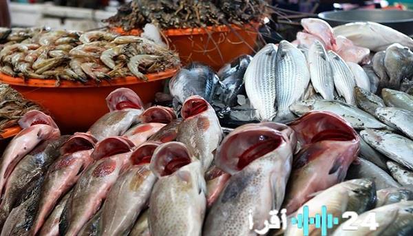 أسعار الأسماك في سوق العبور اليوم الأربعاء 18 مارس 2026 البوري بسعر 160 جنيها قبل عيد الفطر