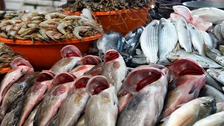أسعار الأسماك والمأكولات البحرية في أول أيام عيد الفطر بسوق العبور