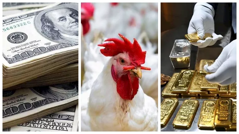 الذهب يتراجع والدواجن تشهد ارتفاعًا مع انخفاض قيمة الدولار